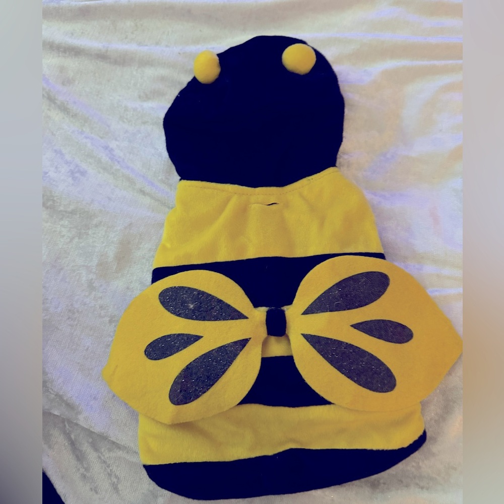 Hooded Dog bumble bee costume Small